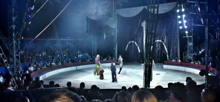 FOTO Stotine Zadrana s djecom uživalo u predstavi cirkusa Safari