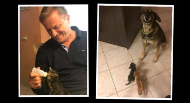 PLEMENIT ČIN Gradonačelnik Dukić pored psa udomio i dva mačića