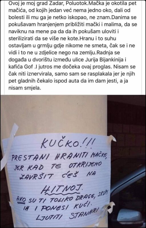 FB_IMG_1599230672727-01