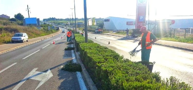 Obavijest o radovima na održavanju zelenila na državnoj cesti D8
