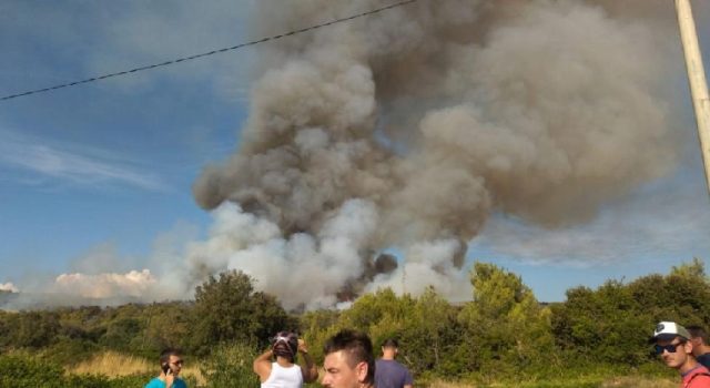 FOTO Veliki požar u Bibinjama; Gori borova šuma