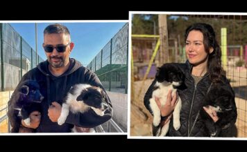 ODLIČNA VIJEST Psi sa Žmirića preseljeni u novi azil na Bokanjcu