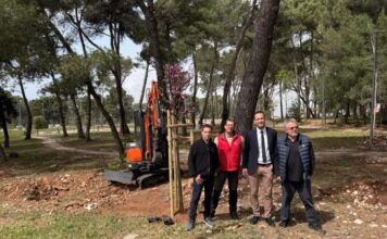 U parku uz prometnicu Kažimira Zankija započela sadnja 205 stabala