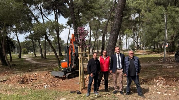 FB_IMG_1776197394508